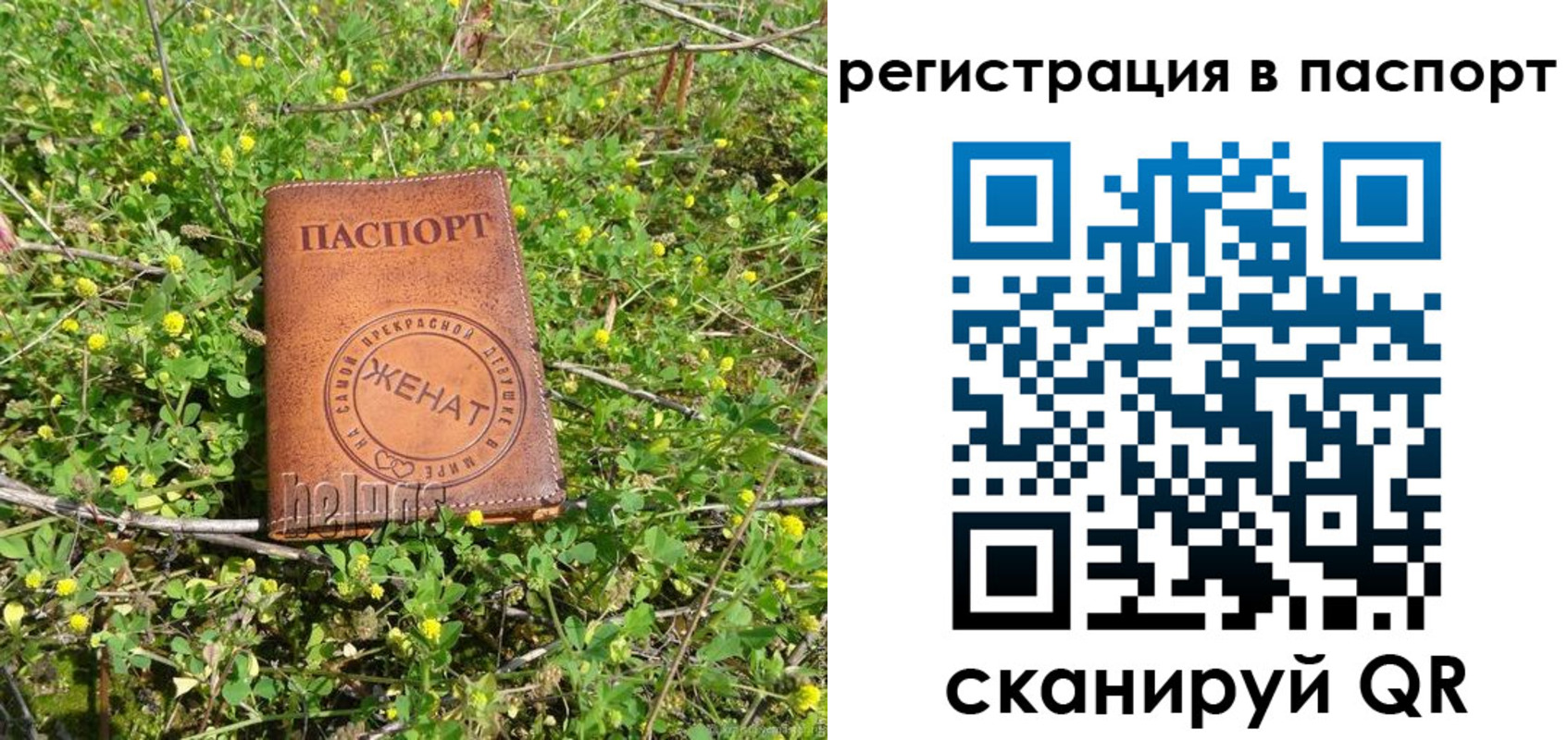 прописка законно в Южно-Сахалинске